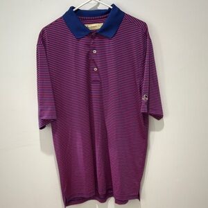 Men's Striped Polo Shirt - Purple and Blue
